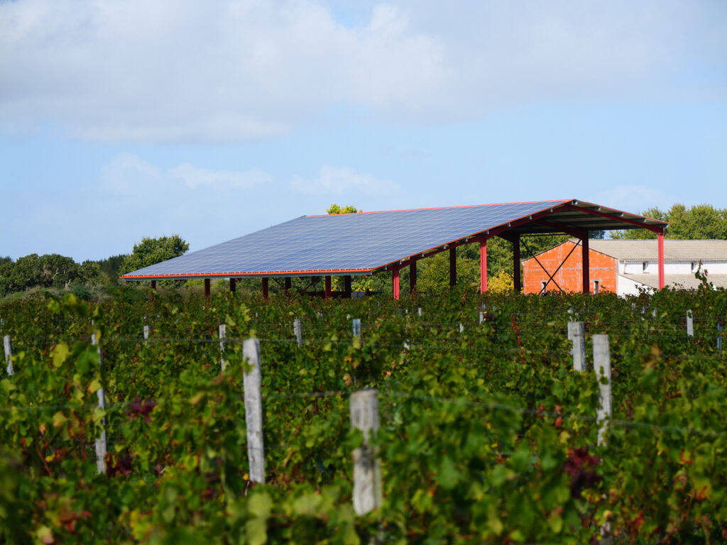 agrivoltaico agrisolare