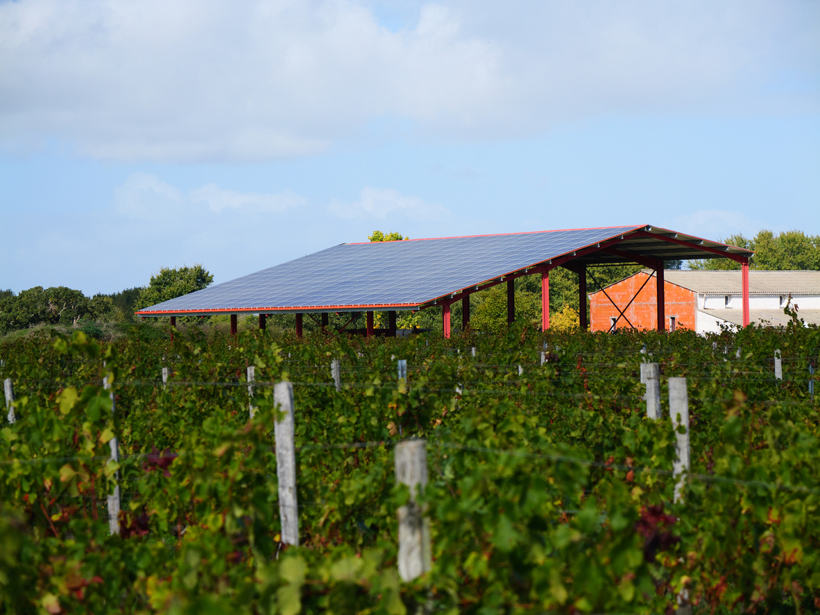 agrivoltaico agrisolare